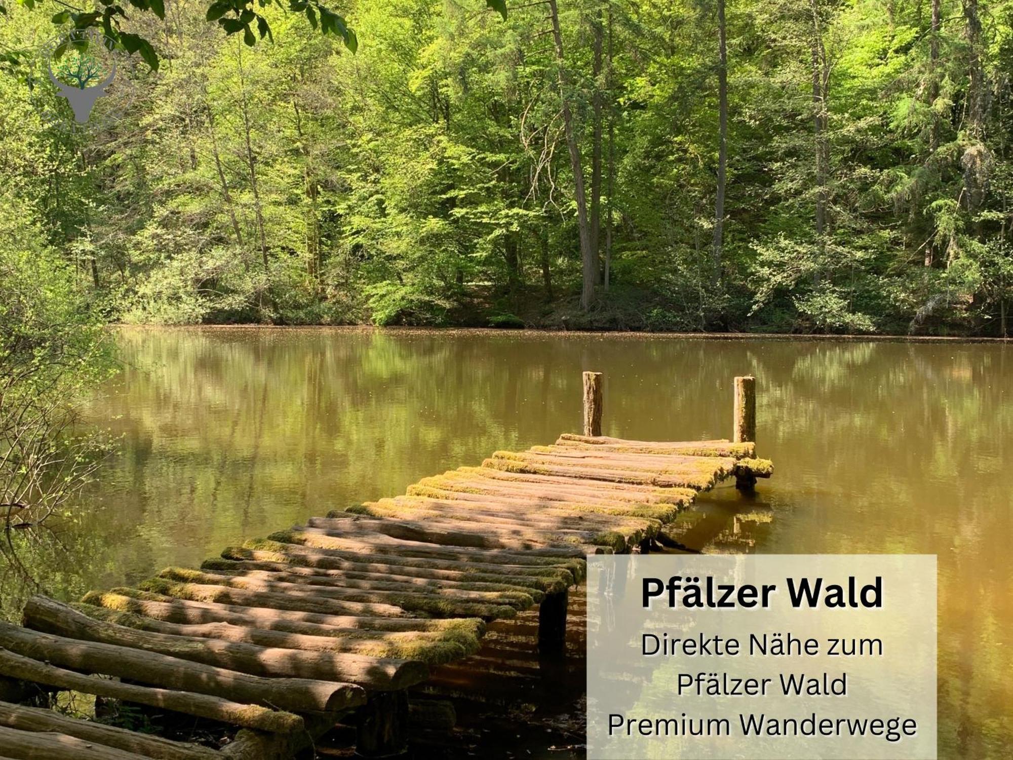 Stierpartment Am Pfaelzer Wald Naehe Outlet Center Zweibruecken Apartment เพียร์มาเซินส์ ภายนอก รูปภาพ